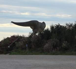 Dinosaurier Museum Altmühltal