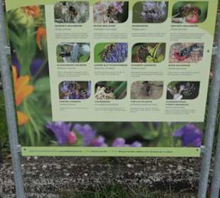 Naturinfopfad Weggental