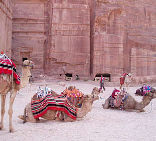 Petra - Transportmittel
