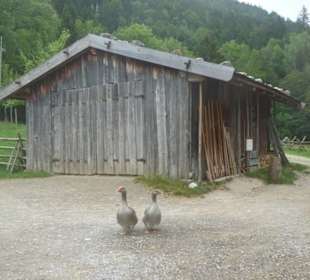 Interessantes Museum