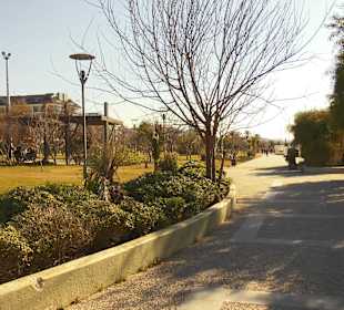 Wenn die Sonne scheint,einfach herrlich