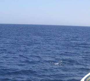 Ausflug Giftun Insel