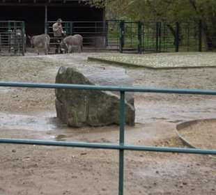 Tierpark 