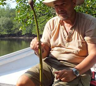 Das Wunder des Lebens