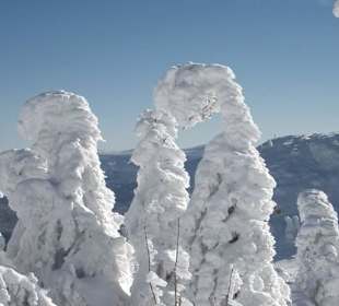 Wintertraum am Großen Arber