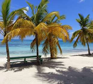 Manu Juan - Mittagessen