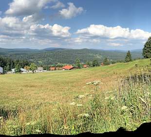 Wandern Mitterfirmiansreut