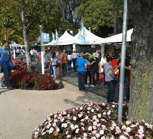 Festa dell'uva e del vino Bardolino