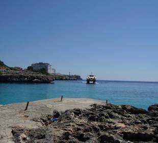 Glass Bottom Boat
