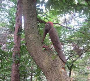 Auf dem Weg zur Landauer Hütte
