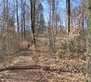 Geschichtlicher Lehrpfad Einsiedel