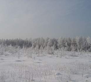 Winterimpression