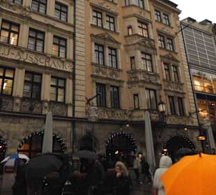 Augustiner in Mänchen