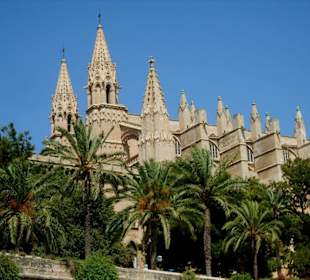 Hinter Palmen versteckt