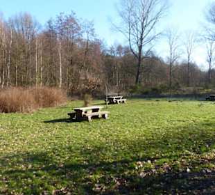 Abwechslungsreicher Weg