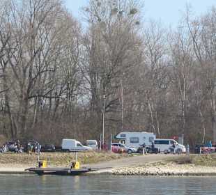 Die Rheinfähre Leimersheim