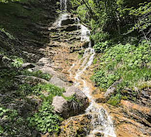 Wandern Simmentaler Hausweg