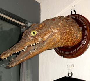 Rundgang durch die Ausstellung des Museums