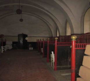 Schloss Fürstenstein ( Ksiaz ) Staatliches Gestüt