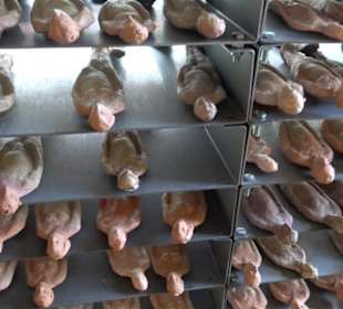 Dokumentationszentrum Grafeneck