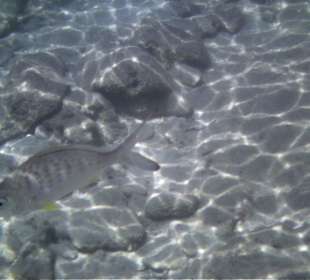 Ausflug Isla Mujeres