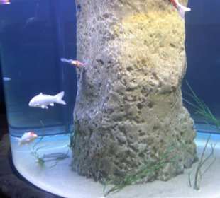 National Aquarium Malta