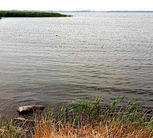 InselTours Usedom