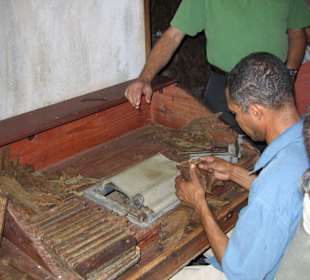 Auf der Tabakplantage