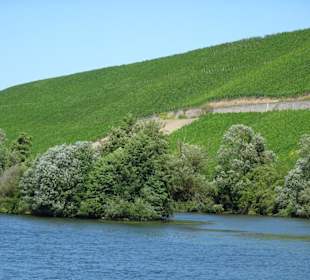 Unterwegs zur Mainschleife