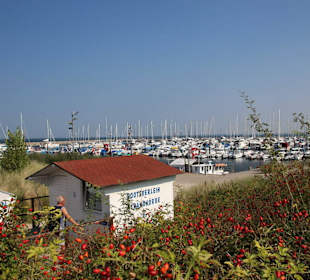 Yachthafen von der Strandpromenade