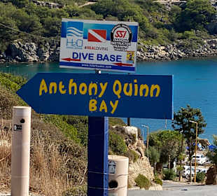 Anthony Quinn Bay