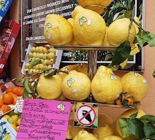 Zitronengewächshaus