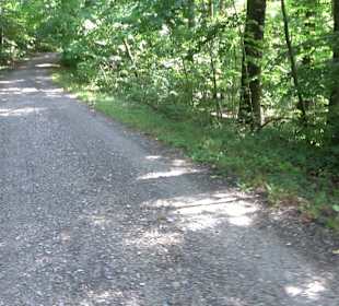 Sophienbrunnen von 1839 