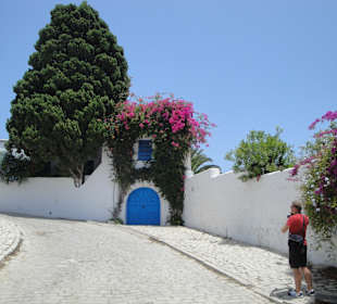 Ausflug Sidi Bou Said