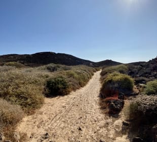 Einsamer Inselbesuch