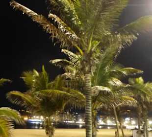Nacht am Stadtstrand Playa de las Canteras