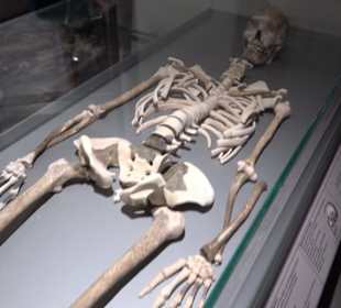 Museum Römer und Bajuwaren