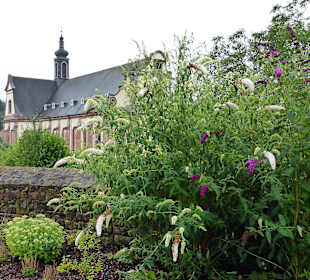 Abtei Himmerod (lohnt sich)