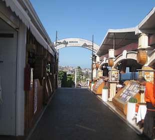 Shopping Center Tropical