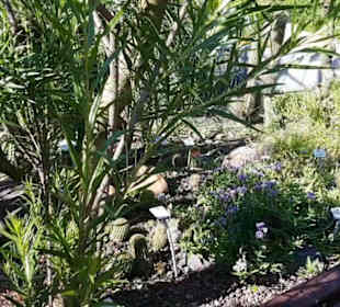 Botanischer Garten 