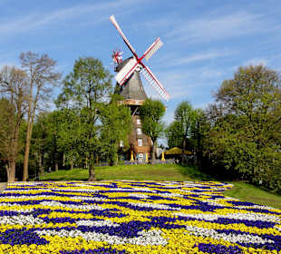 Mühle am Wall - die "Kaffee Mühle"