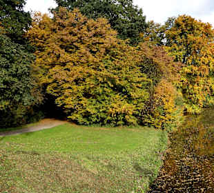 Herbstspaziergang durch den Bürgerpark Bremen