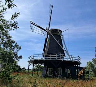 De Groenvelder in Schagen