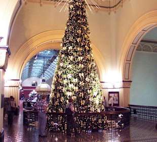 Tannenbaum in der obersten Etage
