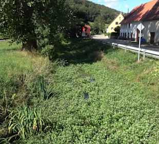 Gestütshof Offenhausen