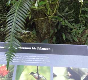 Botanischer Garten der Universität Zürich