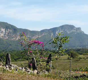Impressionen abseits der Wege