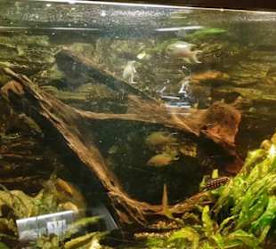 Exotarium