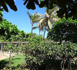 Der Park am Strand von Saint-Pierre