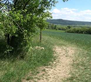 Wanderweg Sieben-Täler-Runde 